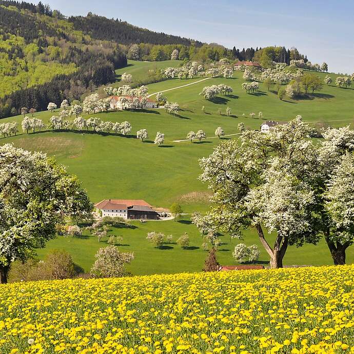 Formation Conception et plantation de verger
