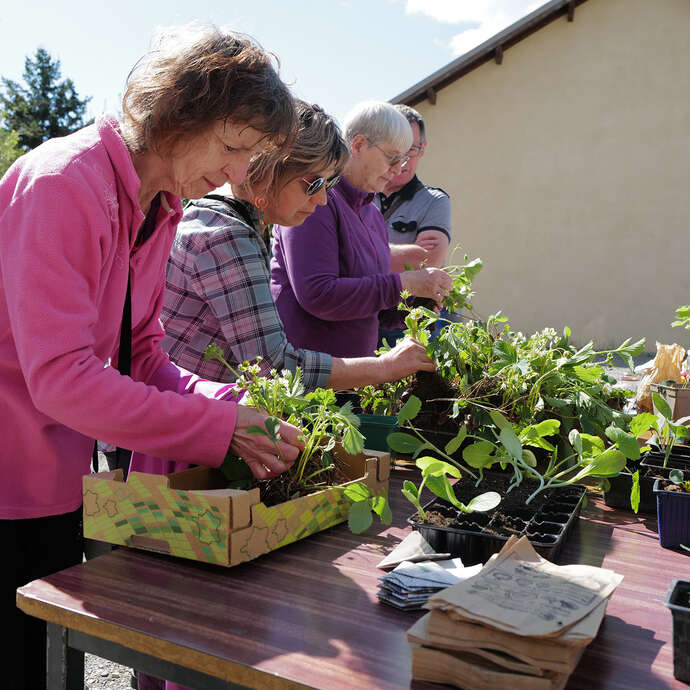 Troc de plants et graines