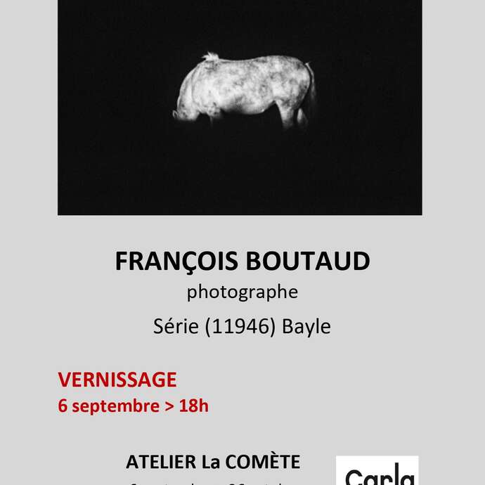 Exposition : Série (11946) Bayle