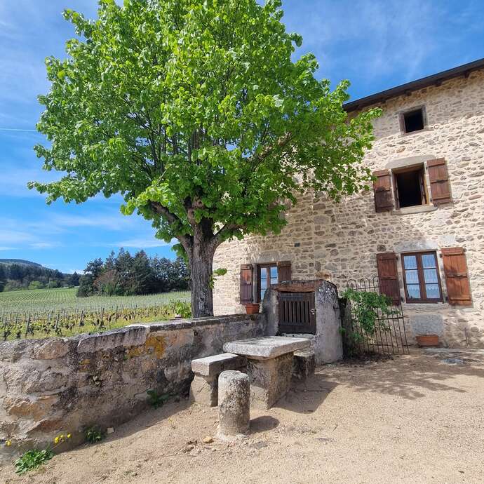 Domaine de la Paroisse - Jean-Claude et Laëtitia Chaucesse