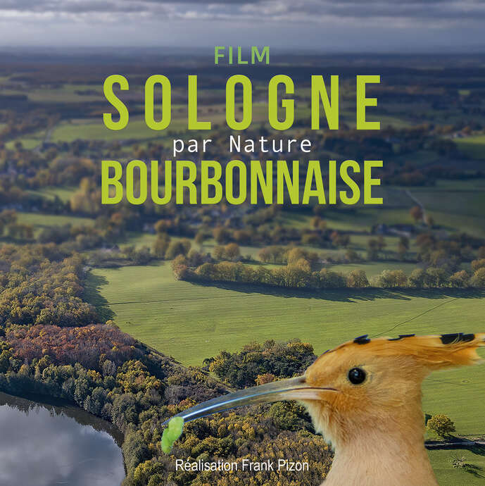 Gravière aux Oiseaux - Cinéma sous les étoiles