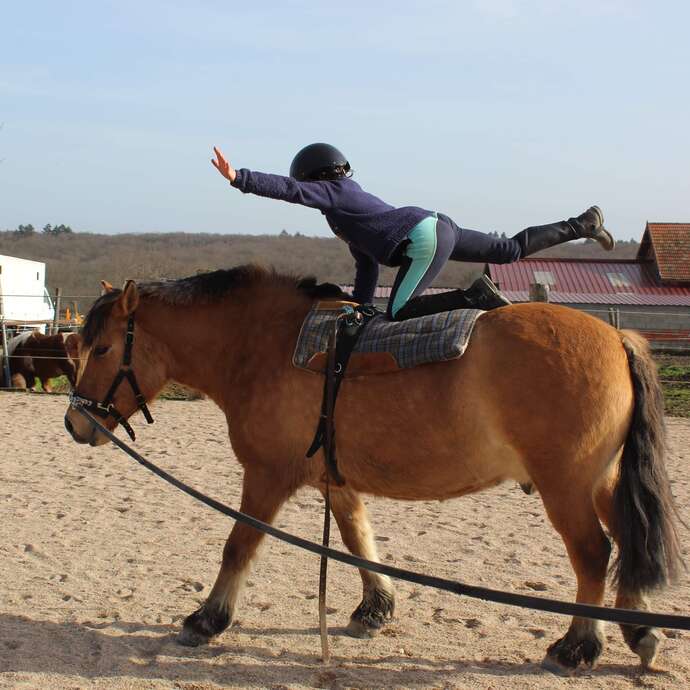 Ferme Equestre de Joux