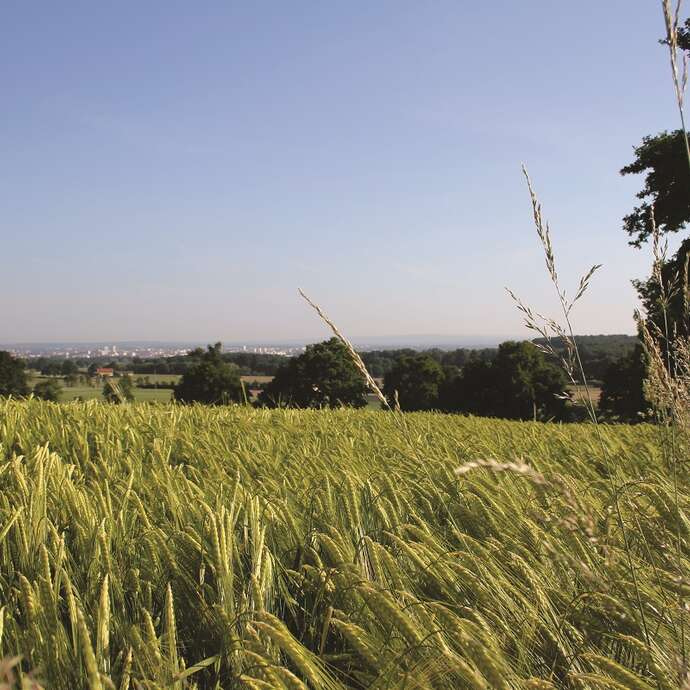 Balade de la Prévôté