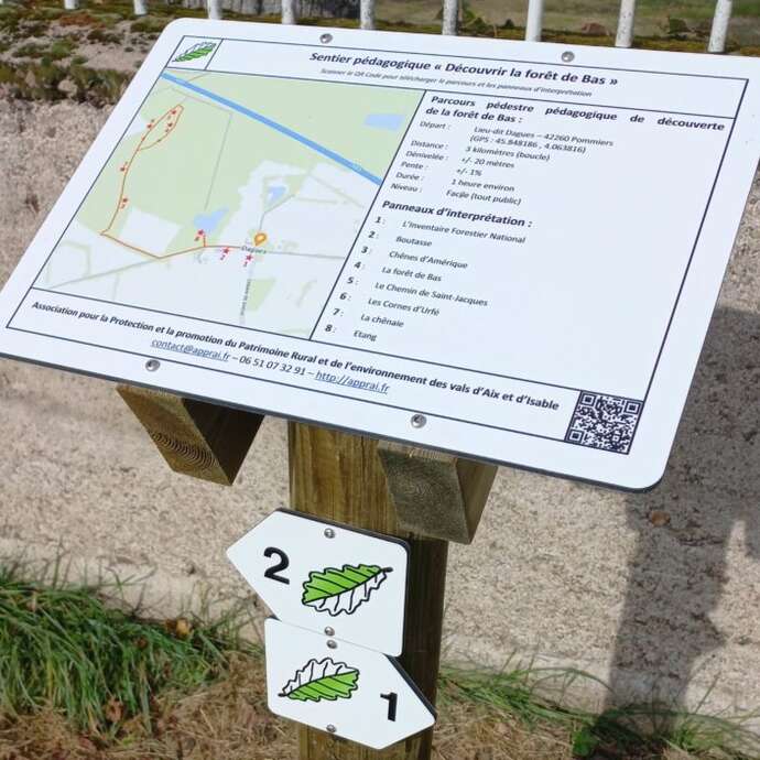 Sentier pédagogique "découvrir la forêt de Bas"
