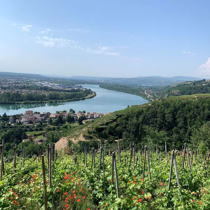 Boucle cyclo-sport : Vérin - Sainte-Croix-En-Jarez