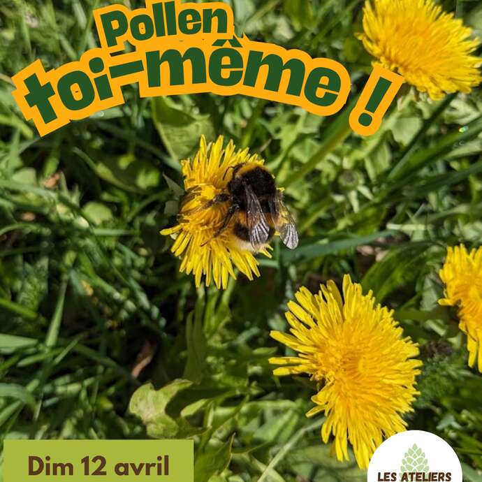 Les Ateliers des Babets : Pollen toi-même !