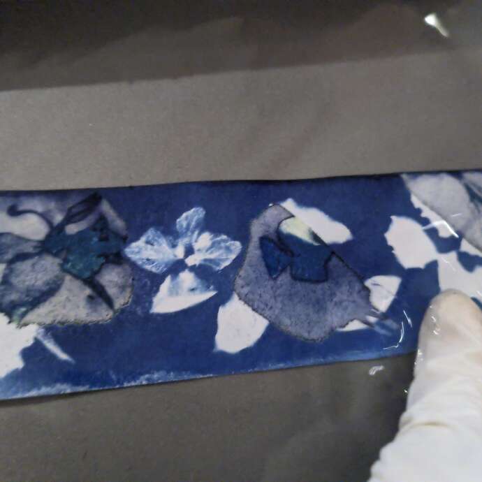 Journée Balade découverte et atelier Cyanotype