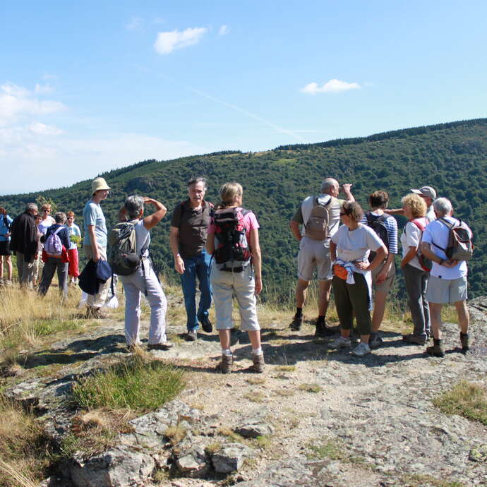Marche de l'été