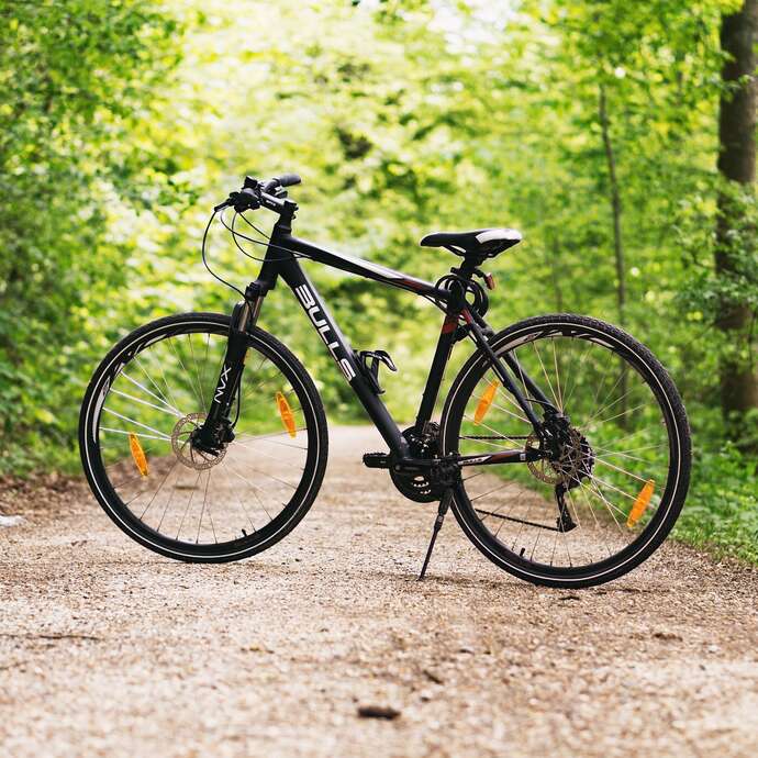 N° 42 - Une forêt grandeur nature - Espace VTT-FFC Massif des Bois Noirs