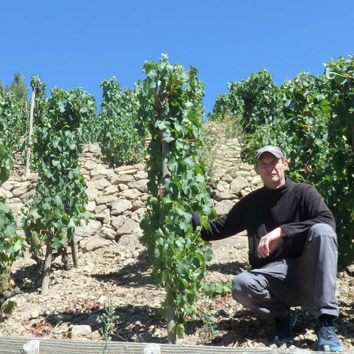 Domaine Xavier Mourier