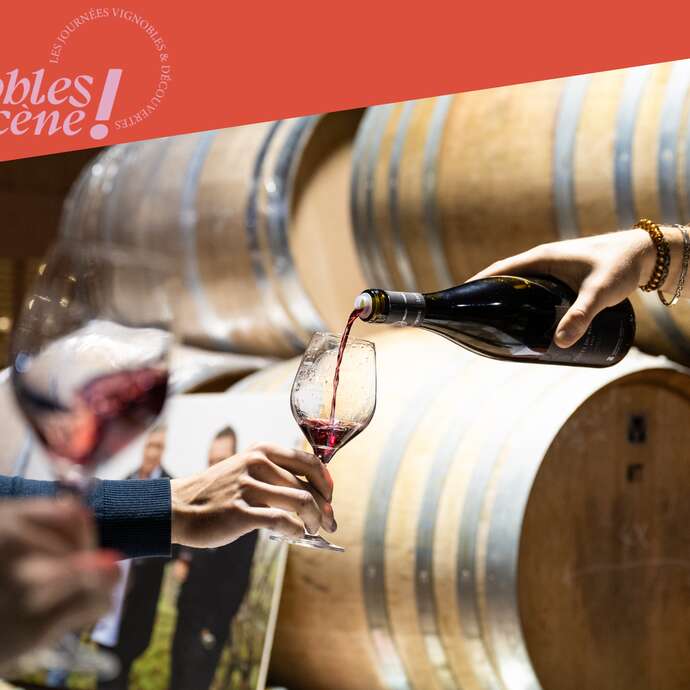 Visit and tasting at Domaine Grangier