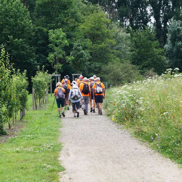 16ème marche de la sparcirote