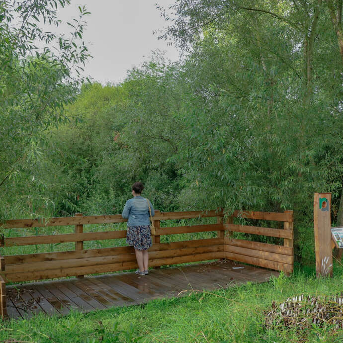 Les balades riorgeoises - Les ponts