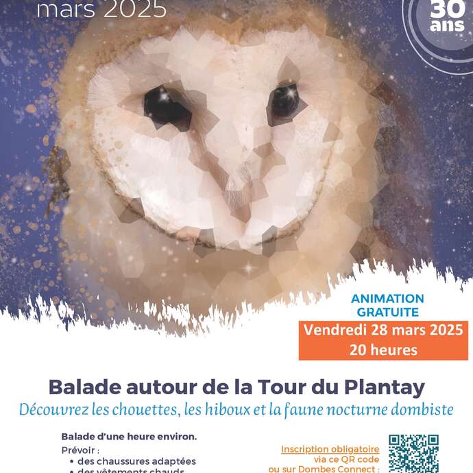 Nuit de la Chouette - À la découverte des rapaces nocturnes