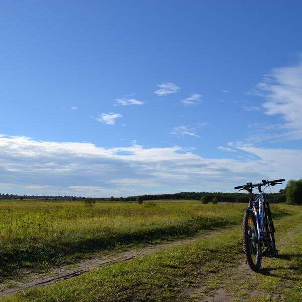 Circuit VTT Le chemin des Puits