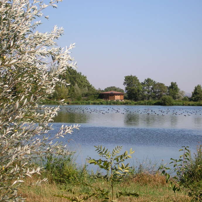 Forez Pond house and nature reserve of Biterne