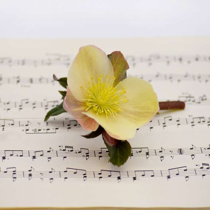 Chorale Atout C"h"oeur - Concert