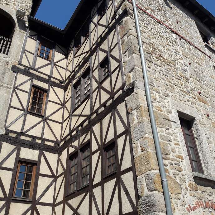 Visite Guidée Saint-Étienne au fil des siècles