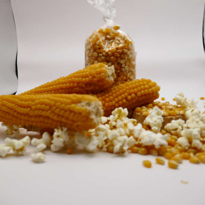 Top pop corn - La visite gonflée