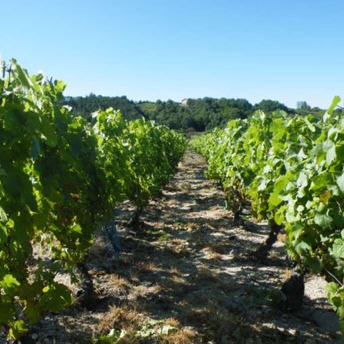 Cave ouverte au Domaine du Poyet