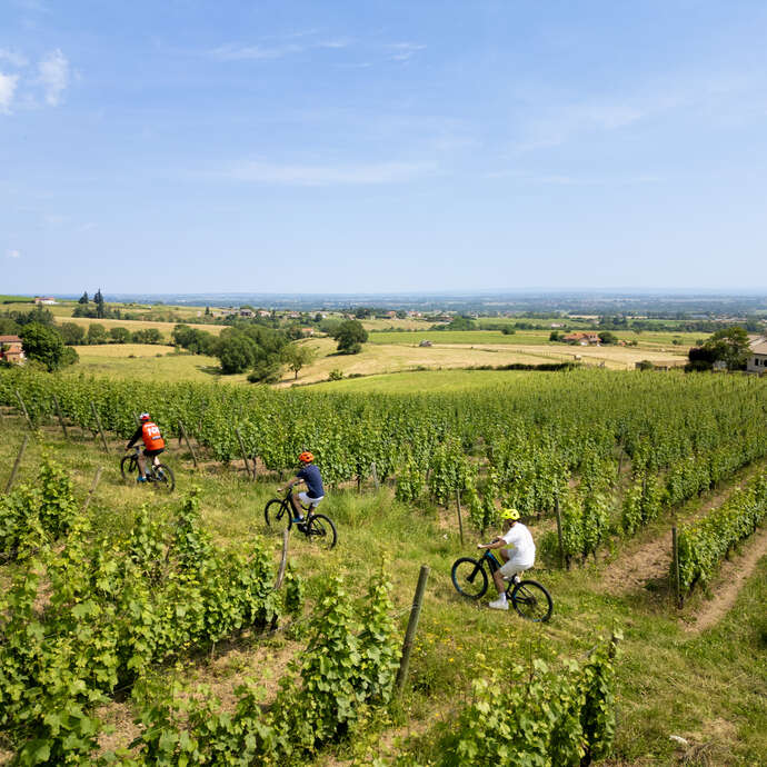 Boucle 7 / La Vaillante / Lentigny - Villemontais - St-Jean-St-Maurice-sur-Loire