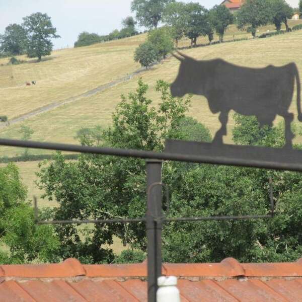 La Vache sur le Toit
