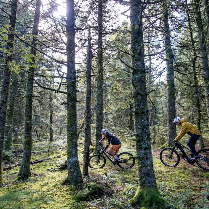 N°113 - La crête de granit - Espace VTT Montbrison-Monts du Forez
