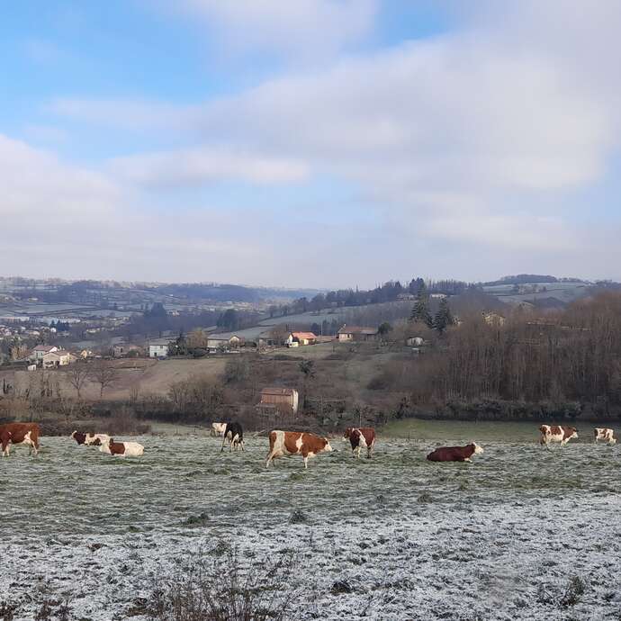 Ferme du Vieux Bourg