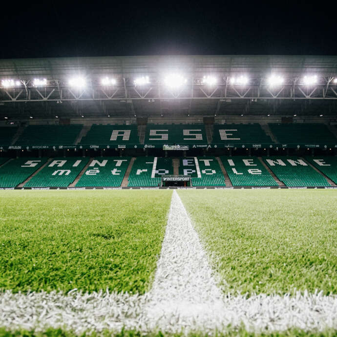 Spectacle - Fou des Verts