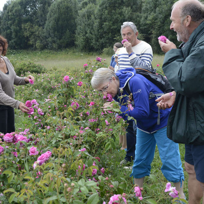 Visite des Jardins des Hautes Terres
