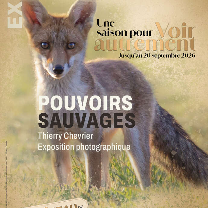 Exposition: Pouvoirs Sauvages
