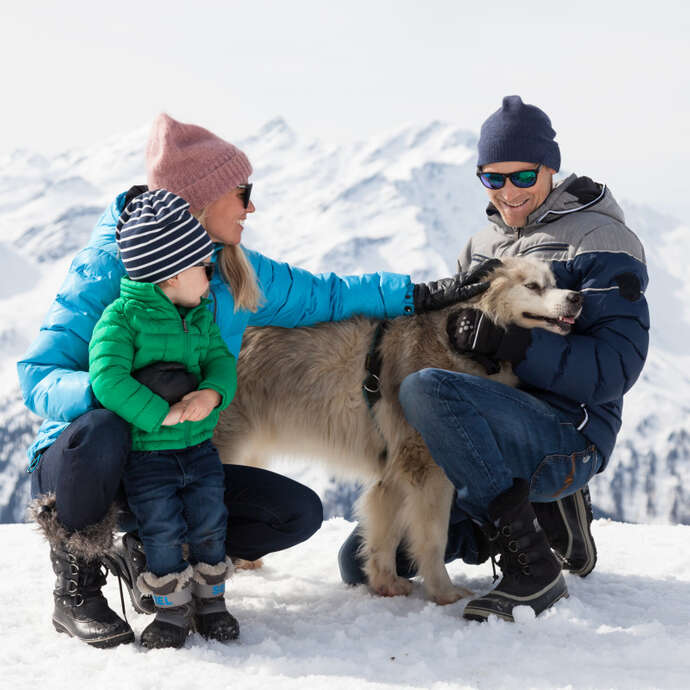 Chance to meet a musher and her dogs