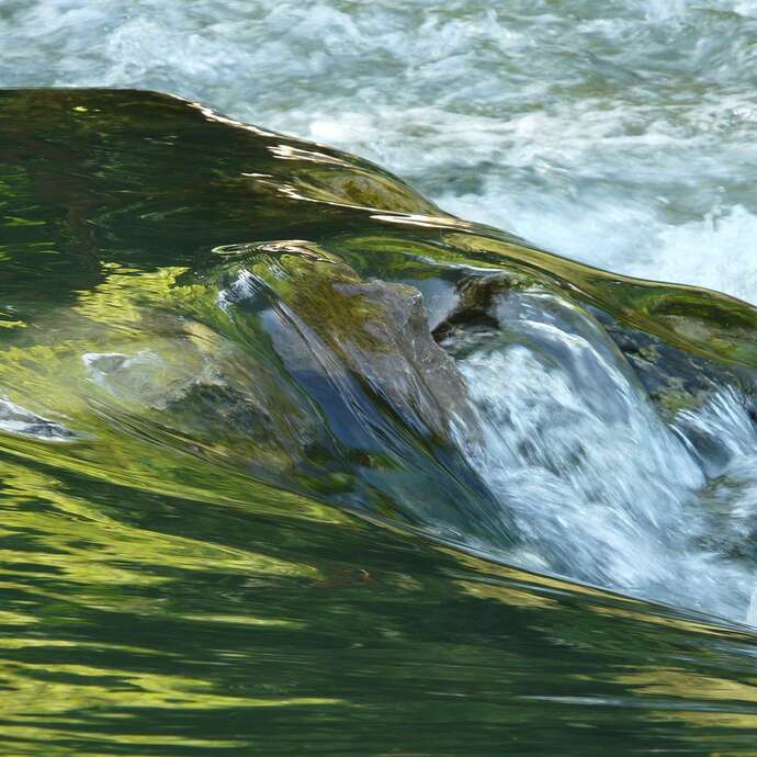 La mémoire et la dynamisation de l'eau - atelier