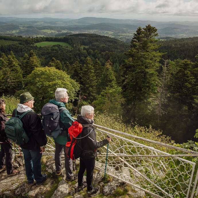 GR® de Pays Les Grenadières