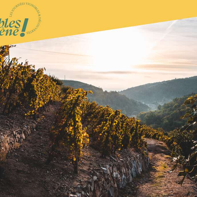 Rando Wine au Domaine Gaillard