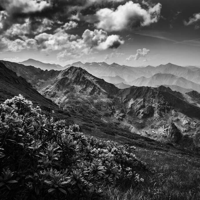 Exposition - Club phot'Objectif