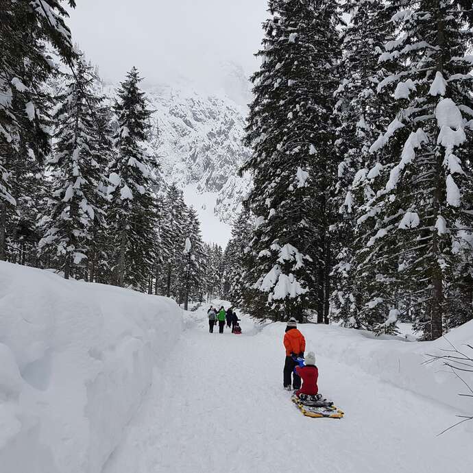 Les Gardiens du Mont Rouge