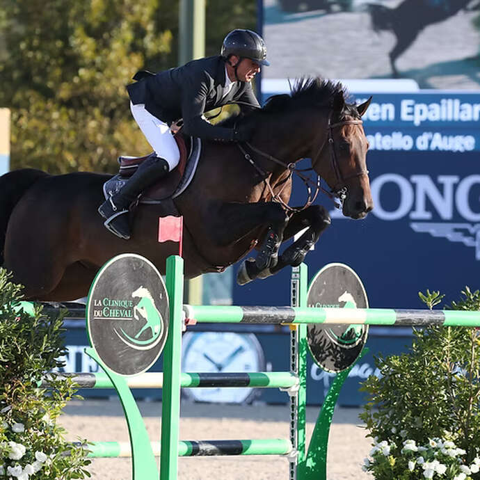 Tournois de Jumping - Haras de Gassin