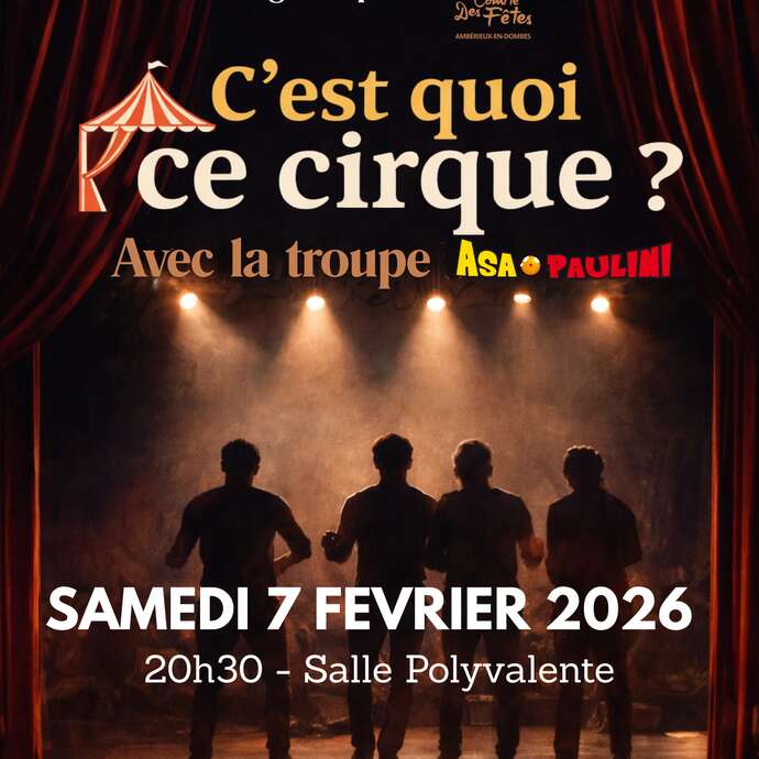 Théâtre d'improvisation : C'est quoi ce cirque ?