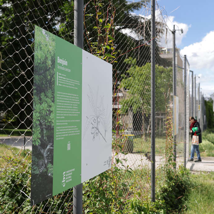 Exposition - Ex(s)istere, une ode au Végétal sauvage