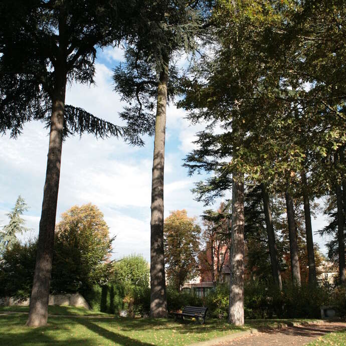 Sentier Saint-Priest-en-Jarez, de Brassens à Brel