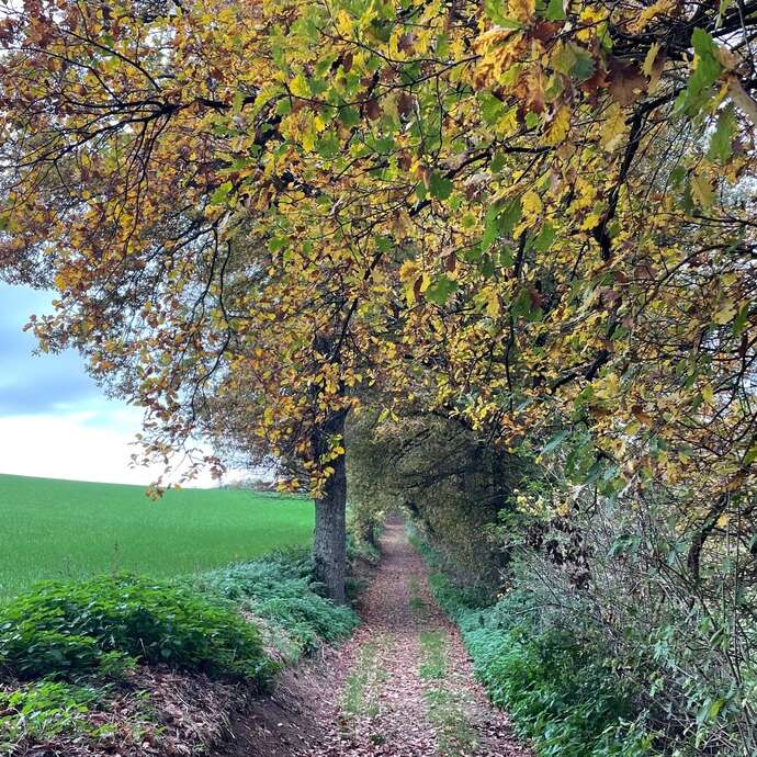 Sentier Les côteaux de Valeille