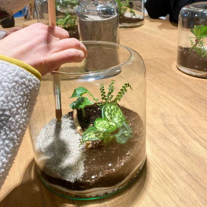 Créer mon terrarium -Atelier végétal