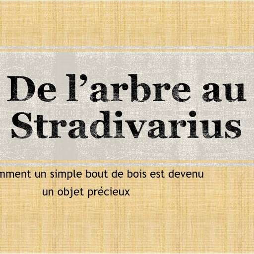 Conférence illustrée  "l'histoire du violon à travers les âges" et essai du violon