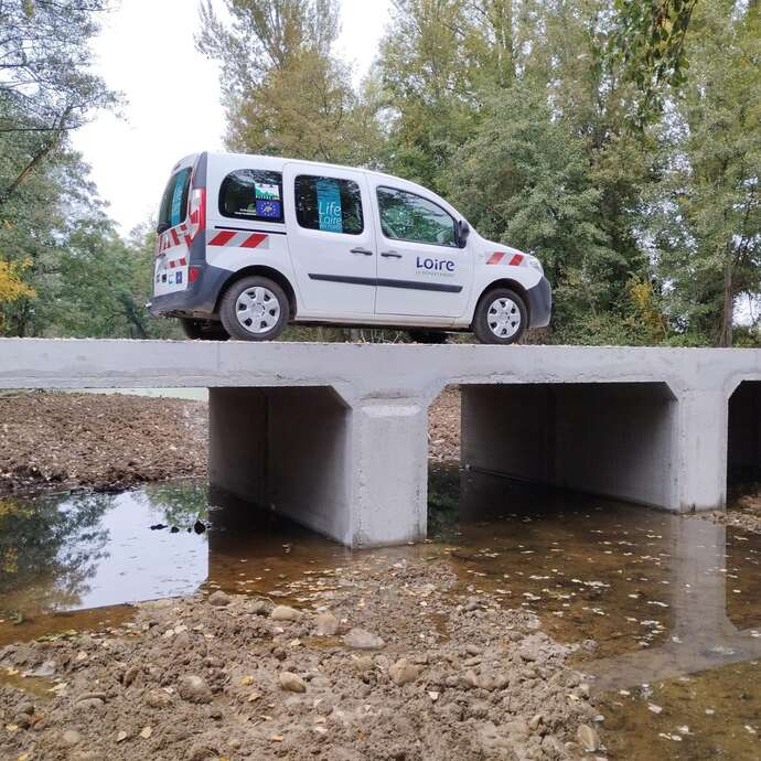Visite des travaux du programme Life Loire en Forez