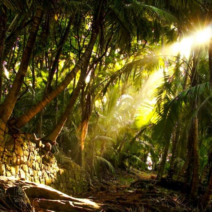 Guyane - Yohann Brichet