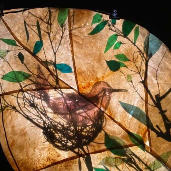 Spectacle – L’arbre et l’oiseau