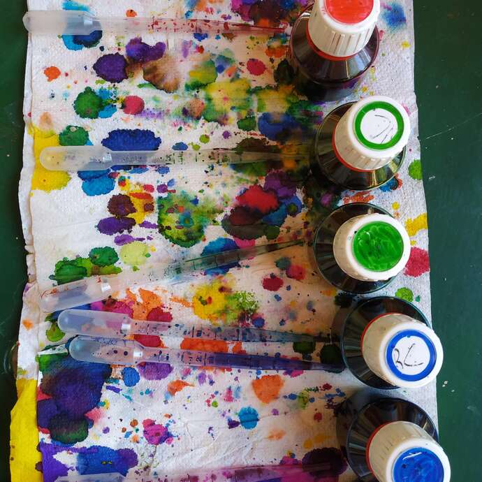 Atelier : Histoire de plantes
