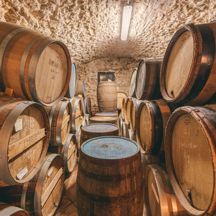 Visite Expert Rhum à la Maison Ferroni