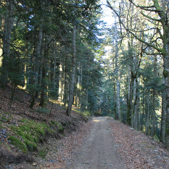 La Pierre aux 7 trous - 56 itinéraires VTT Loire